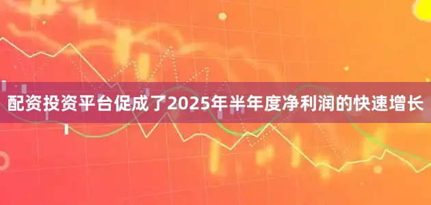 配资投资平台促成了2025年半年度净利润的快速增长