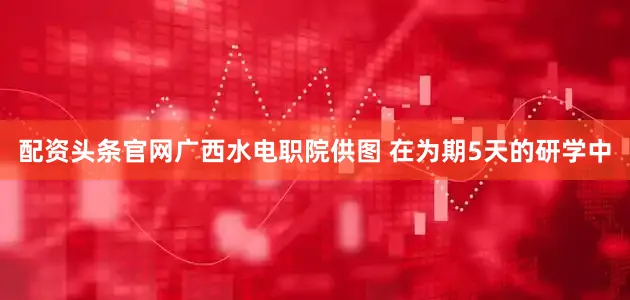 配资头条官网广西水电职院供图 在为期5天的研学中