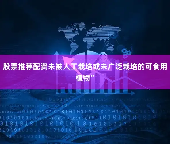 股票推荐配资未被人工栽培或未广泛栽培的可食用植物”